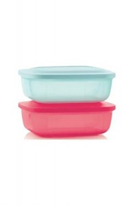 Tupperware Dikdörtgen 500 ml 2 li Saklama Kabı