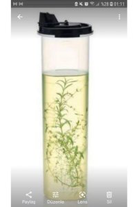 Tupperware Oval  Zeytinyağlık 1.1 litre