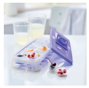 Tupperware Alaska Buz Devri Mega Buz Kalıbı