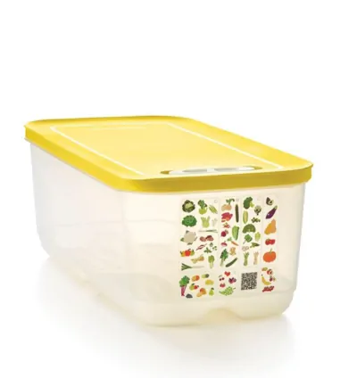 Tupperware Sera Refrigerator Storage Container 6.1 Lt