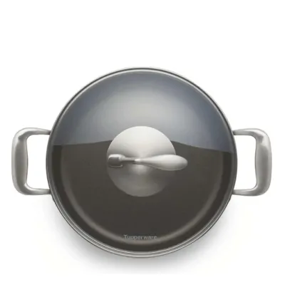 Tupperware Gourmet Pot 4.1l