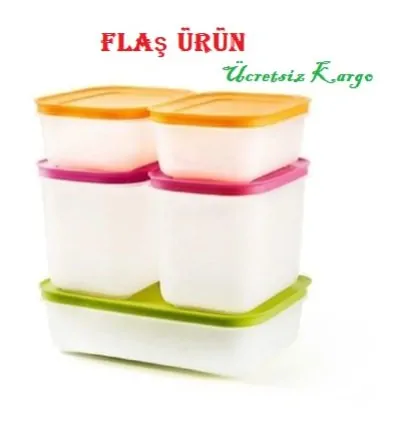 Tupperware Alaska 5-pack Deep Freezer and Refrigerator Storage Container