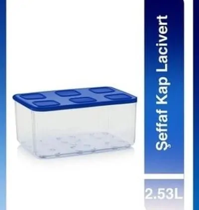 Tupperware Transparent Container 2.53 Lt Navy Blue Lid