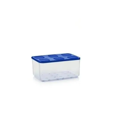 Tupperware Transparent Container 2.53 Lt Navy Blue Lid