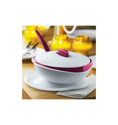 Tupperware Şık Servis 2,5 Litre