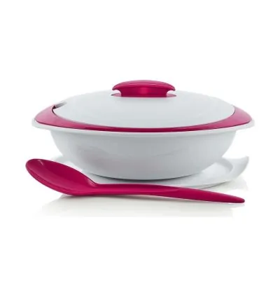 Tupperware Şık Servis 2,5 Litre