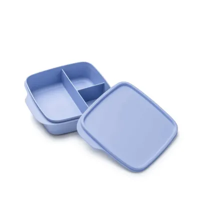 Tupperware Compartmentalized Lunch Box 550 ml – Practical & Stylish Meal Solution