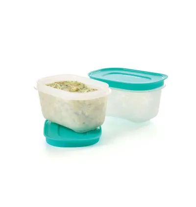 Tupperware Alaska 2-Piece Freezer Storage Container Set – 170 ml Turquoise