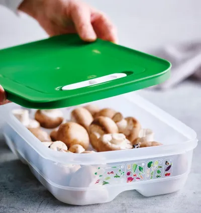 Tupperware Sera Series 1.8 L Short Body Storage Container – Green