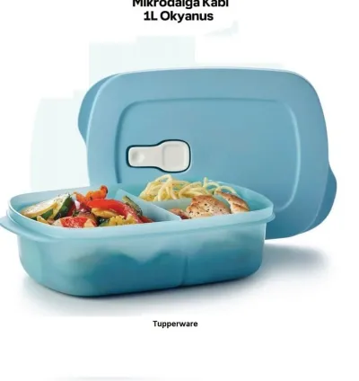Tupperware Blue Compartment Lunch Box – Microwave Safe, Leak-Proof, 1 Litre!