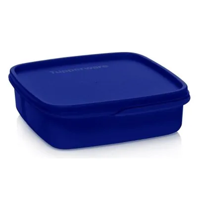 Tupperware Divided Lunch Box 550ML Ocean Blue – Practical & Stylish Lunch Solution!