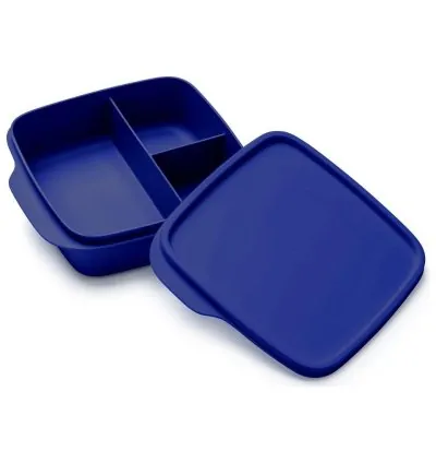 Tupperware Divided Lunch Box 550ML Ocean Blue – Practical & Stylish Lunch Solution!