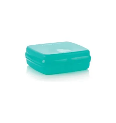 Tupperware Lunch Box Turquoise – Eco+ Technology for an Eco-Friendly and Practical Solution!