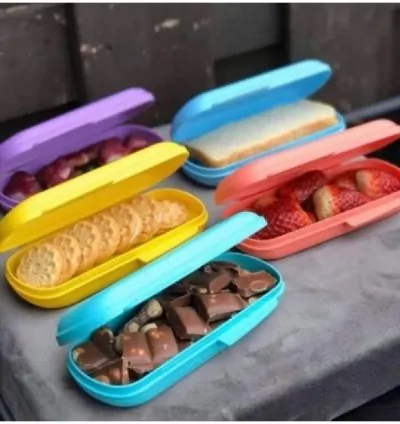 Tupperware Princess Oyster Storage Box Mini Snack Container – Tupperware Princess Feeding Wallet