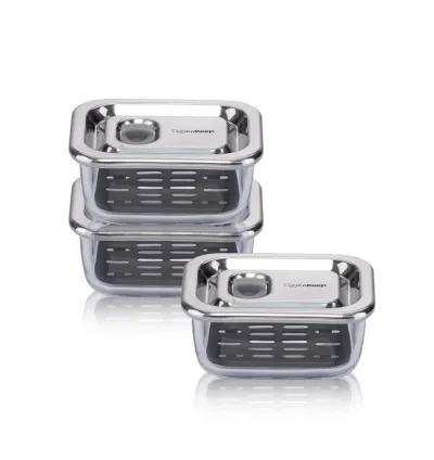 Vacuum Glass Food Storage Container Small Size 3-Piece Set – Airtight, Fresh-Keeping, Durable Glass