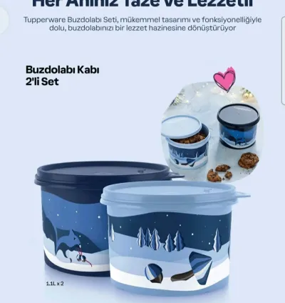 Tupperware Fridge Container Set of 2 – Easy & Practical Food Storage