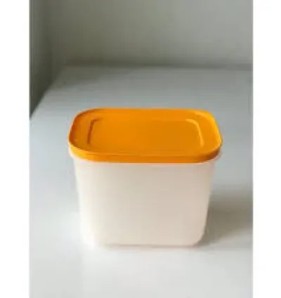 Tupperware Alaska 2-Piece Freezer Container Set 1.1L – Tall, Stain-Resistant