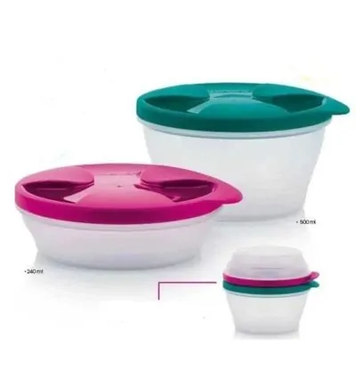 Tupperware Düet Saklama Kapları  2 li Set (500 ml ve 240 ml)