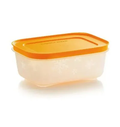 Tupperware Alaska 450 ml Derin Dondurucu ve Buzdolabı Saklama Kabı